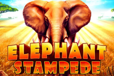 Elephant Stampede