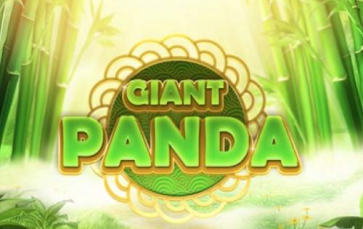 Giant Panda