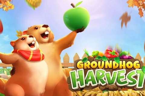 Groundhog Harvest